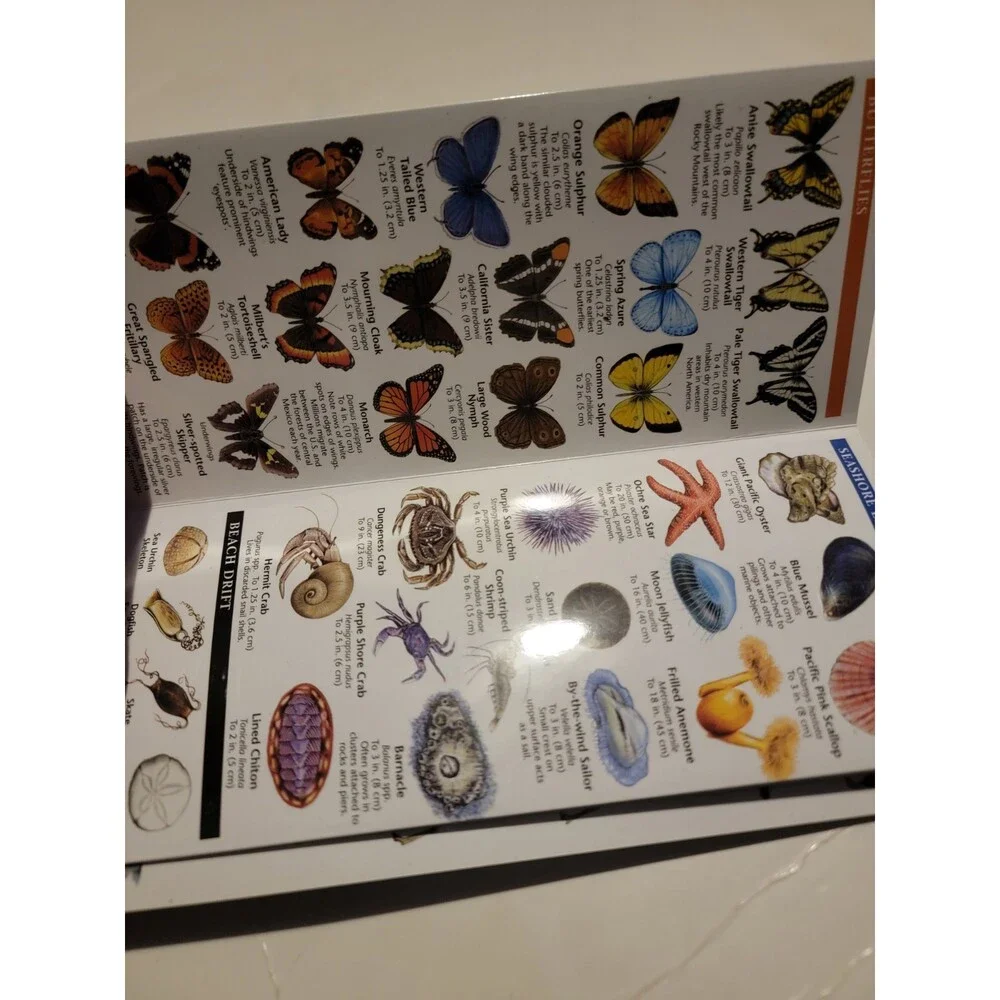 Oregon Wildlife Pocket Guide Naturalist Introduction To Familiar Species